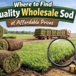 Wholesale sod near me